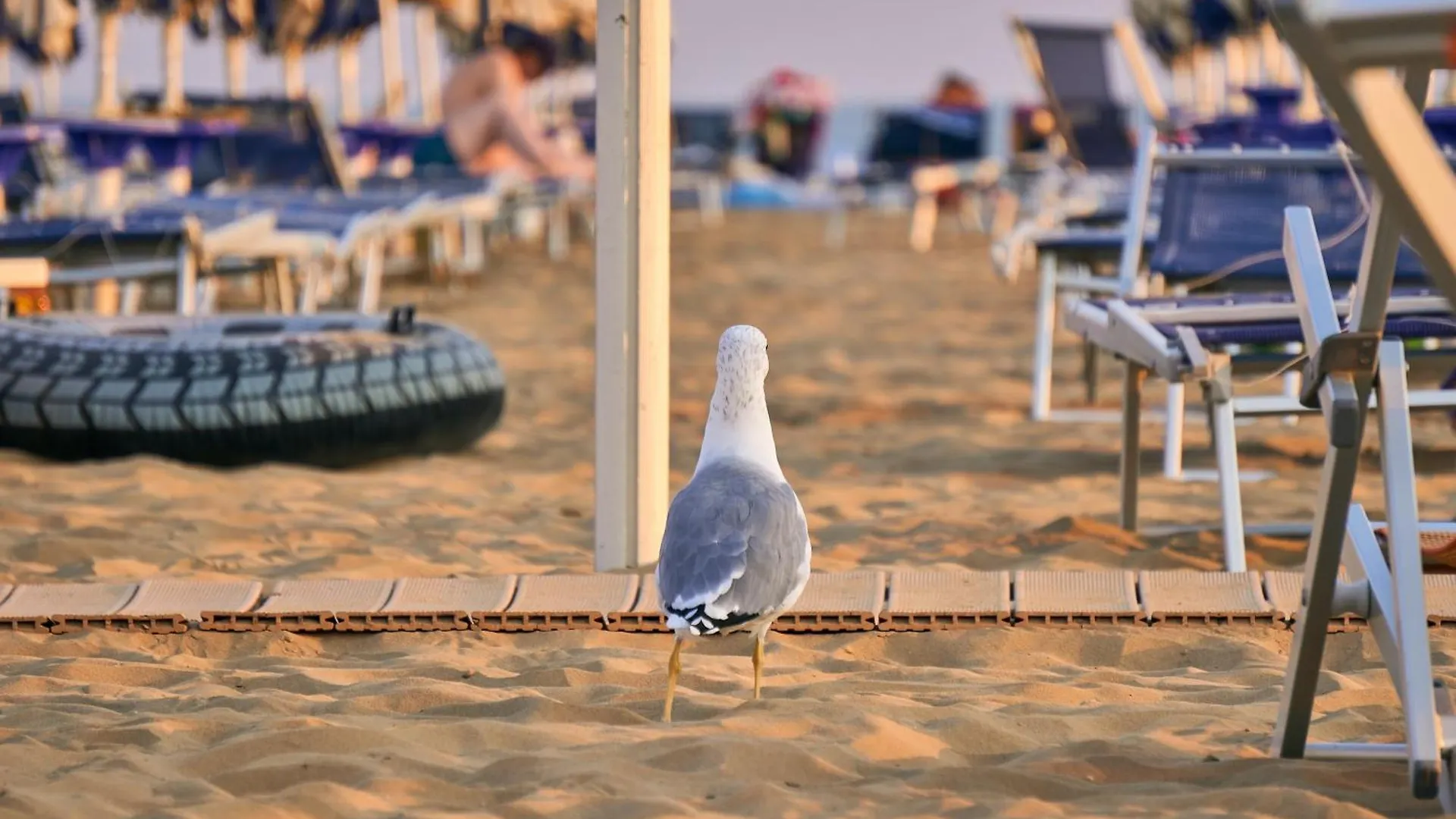 Relax In Our Flat With Sea View Terrace Apartment Bibione